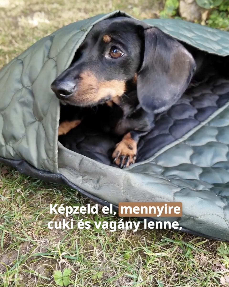 HIMALAYA kutya hálózsák